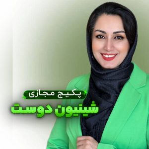 پکیج کامل آموزش شنیون دوست